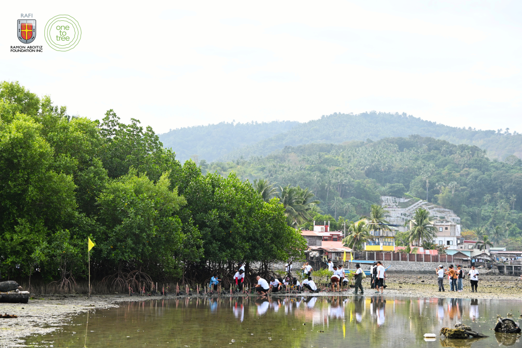 International Forest Day: Why Native Tree Growing Matters for the Philippines