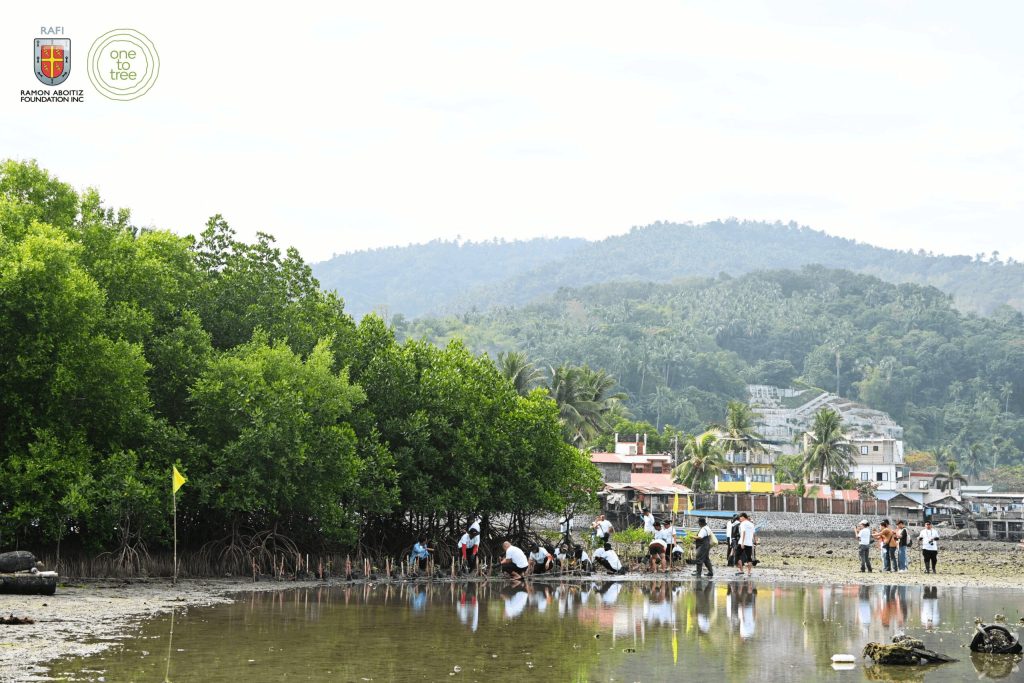 International Forest Day: Why Native Tree Growing Matters for the Philippines
