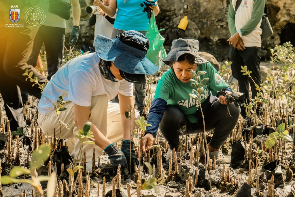 Volunteers planting mangroves to support tree growing Philippines initiatives.