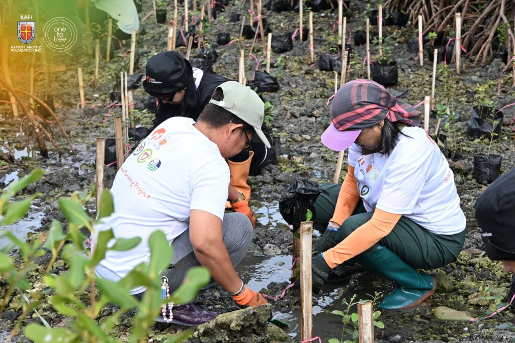 Volunteers plant mangrove seedlings in a coastal restoration site as part of CSR environmental programs in the Philippines.
