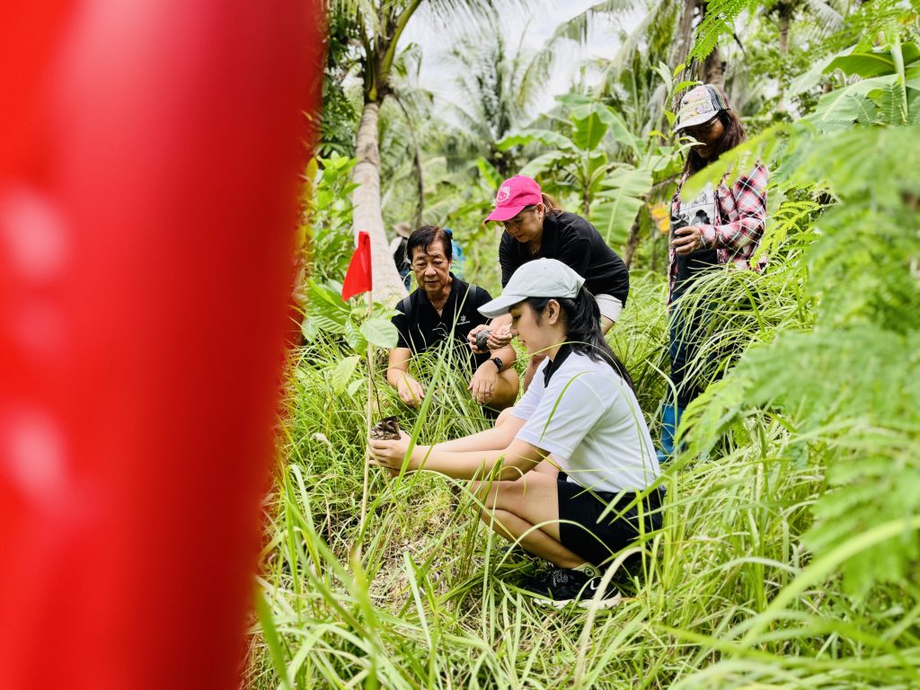 Participants planting a tree during Arbor Day in the Philippines.