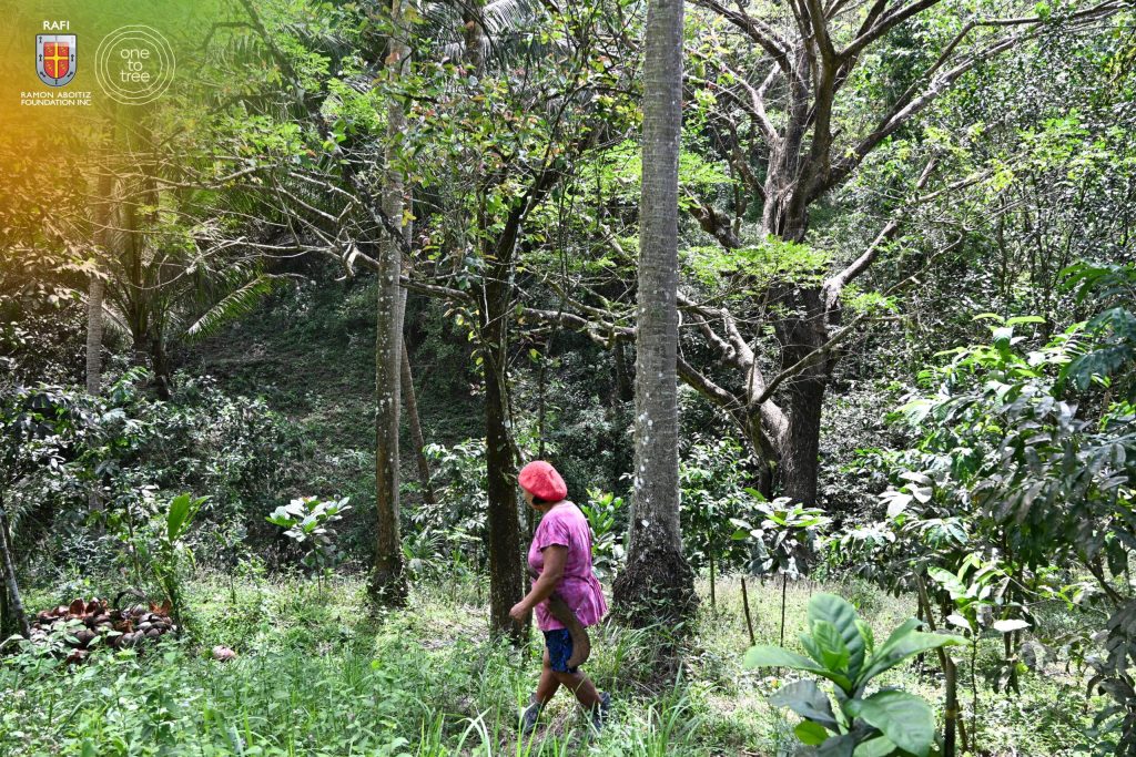 A person walks through a forested area surrounded by native trees in a restored natural landscape.