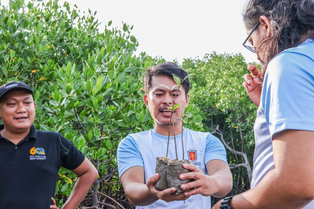 Person presenting a mangrove seedling during a mangroves in the Philippines restoration activity.