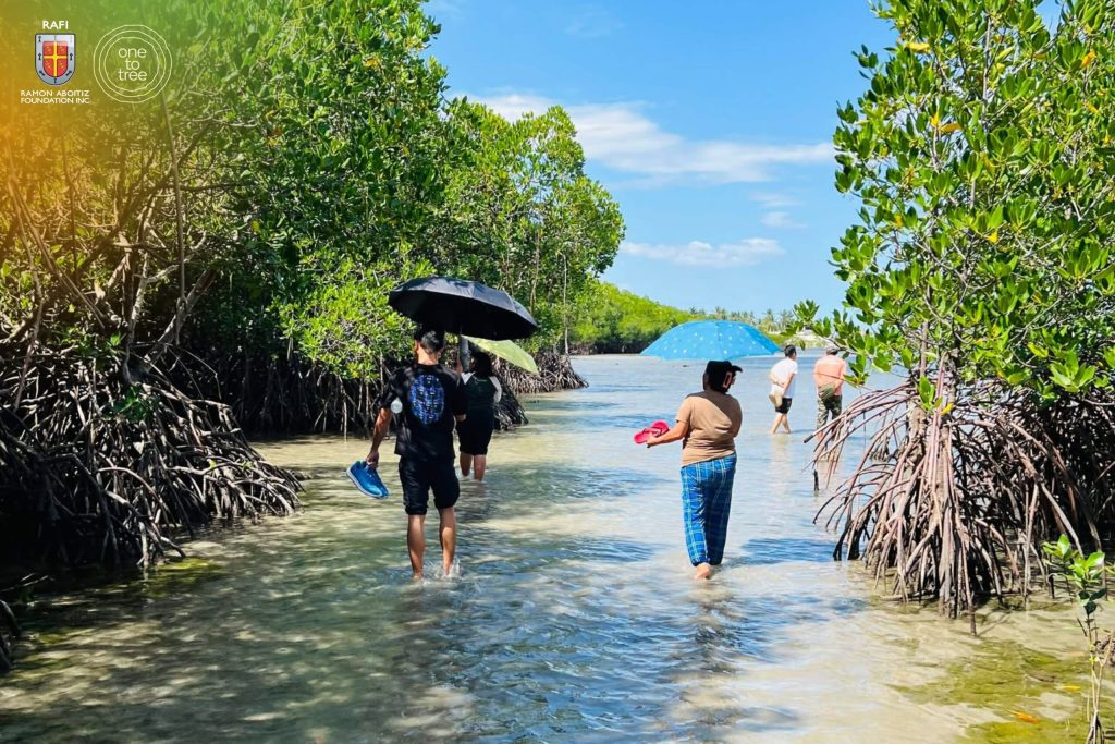 People walking through a mangrove forest at low tide.