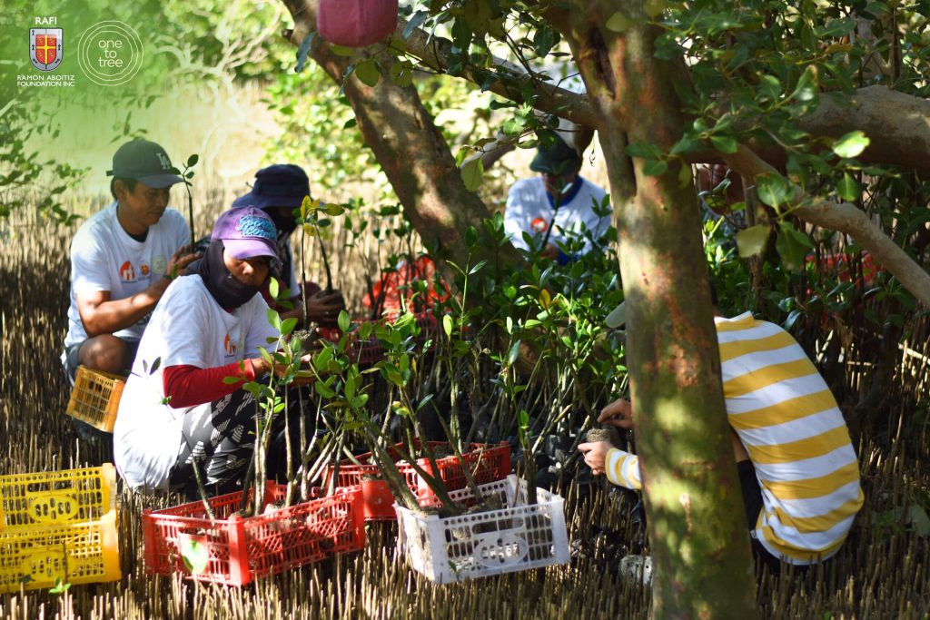 People preparing mangrove seedlings for coastal restoration.