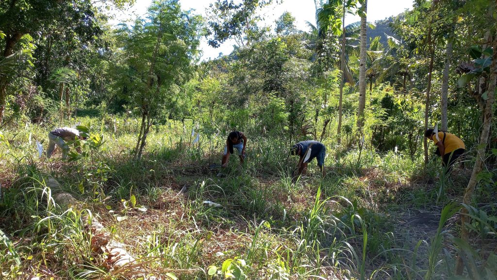People planting trees to support ozone layer protection.